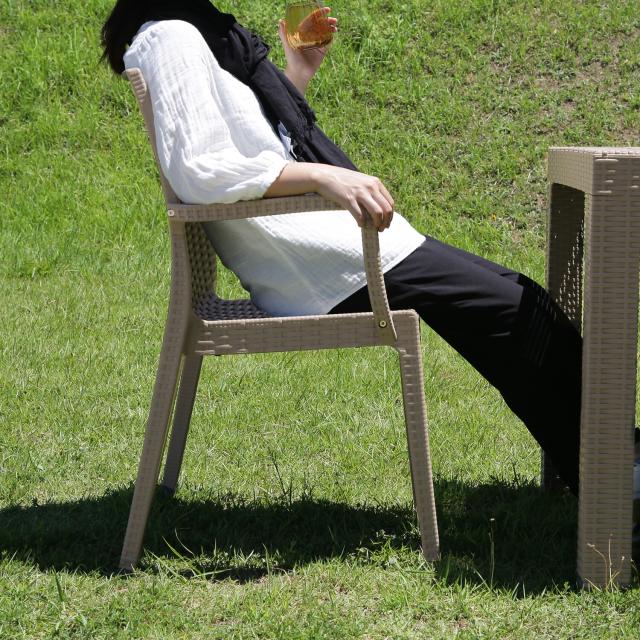 ステラ チェアー 肘付き ブラック グレー 2脚セット 送料無料-17