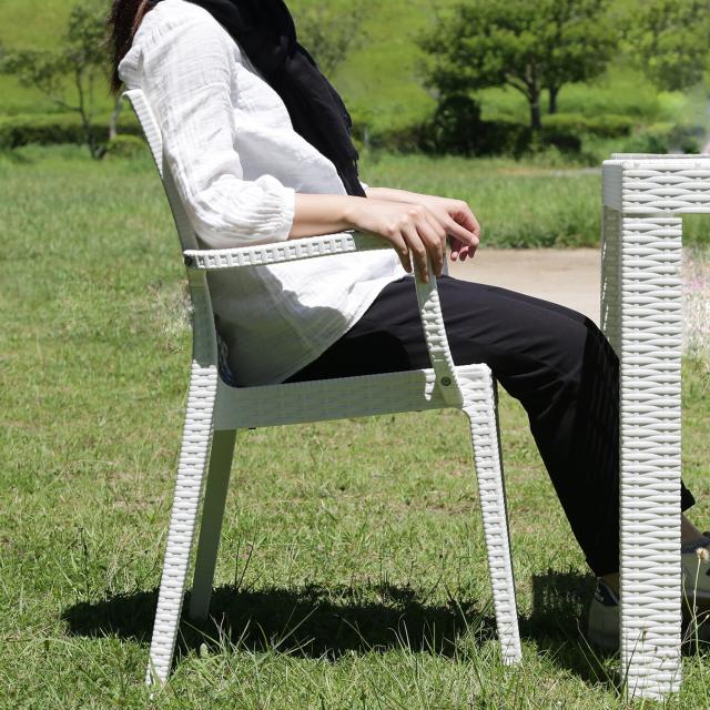 ステラ チェアー 肘付き ブラック グレー 2脚セット 送料無料-25