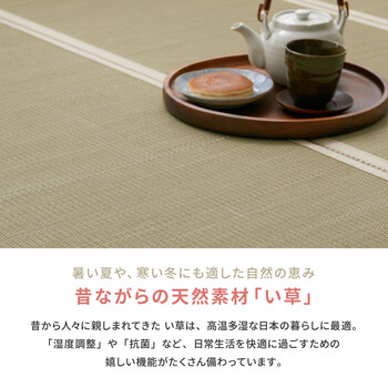 畳マットレス 約100×200cm 貴船 きふね　い草 4つ折り 送料無料-3