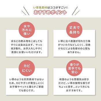畳マットレス 約140×200cm 水拭きできる 4つ折り PP伏見 ふしみ 送料無料-9