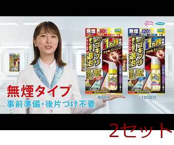 フマキラー ゴキブリワンプッシュプロ 120回分 2個セット 送料無料-2