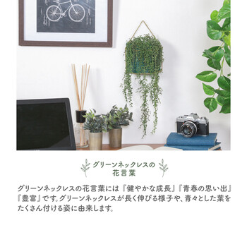 フェイクグリーン グリーンネックレス ハンギング 送料無料-3