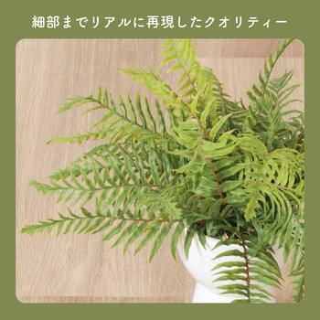 フェイクグリーン シダ セラミックポット 送料無料-3