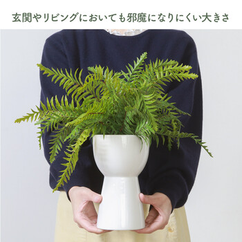 フェイクグリーン シダ セラミックポット 送料無料-4