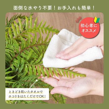 フェイクグリーン シダ セラミックポット 送料無料-5