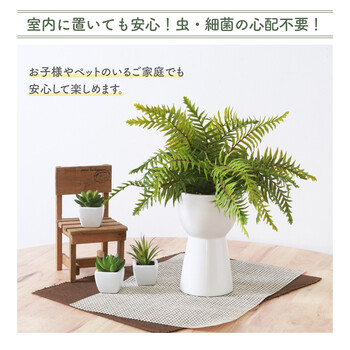 フェイクグリーン シダ セラミックポット 送料無料-6