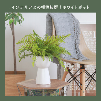 フェイクグリーン シダ セラミックポット 送料無料-7