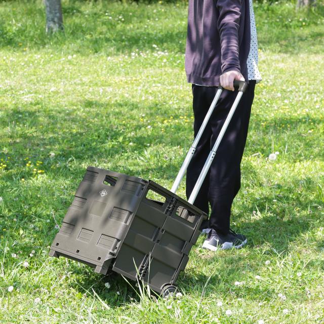 フォールディングキャリーカート L 蓋付き 3セット 送料無料-17