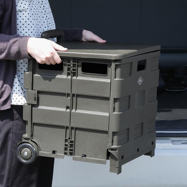 フォールディングキャリーカート L 蓋付き 3セット 送料無料-21