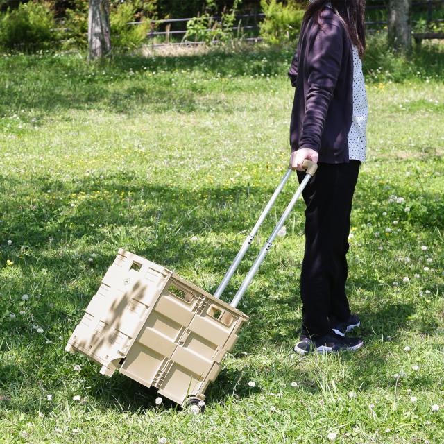 フォールディングキャリーカート L 蓋付き 3セット 送料無料-3