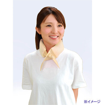 ネックール氷結2 アイボリー HRN2 64V 3個セット 送料無料-5