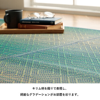 ラグ い草ラグ 約120×180cm ダイヤ柄 インテリア 節電 夏用 涼しい おしゃれ 湿度調節 消臭効果 NSナセル 送料無料-2