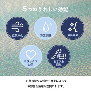 ラグ い草ラグ 約120×180cm ダイヤ柄 インテリア 節電 夏用 涼しい おしゃれ 湿度調節 消臭効果 NSナセル 送料無料-4