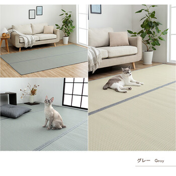 ラグ 洗える ござ 約87×174cm（江戸間1畳） 日本製 国産 カーペット リバーシブル 丈夫 除菌スプレー対応 敷詰 ラグ 敷物 ミーサ 送料無料-18