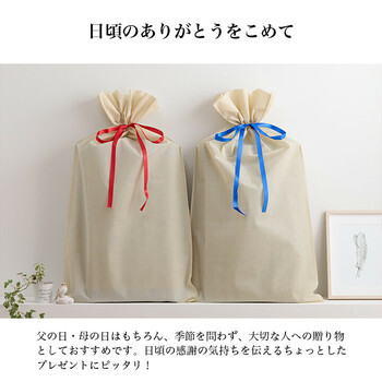 寝具 枕 約70×150cm 枕約50×30cm い草 国産 日本製 すずか 私の場所 平枕 送料無料-9