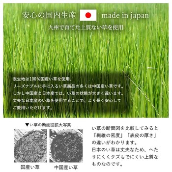 寝具 枕 約70×150cm 枕約50×30cm い草 国産 日本製 すずか 私の場所 平枕 送料無料-2