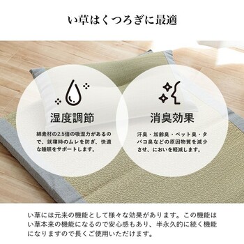 寝具 枕 約70×150cm 枕約50×30cm い草 国産 日本製 すずか 私の場所 平枕 送料無料-3