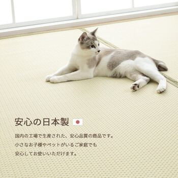 ラグ 洗える ござ 約174×174cm（江戸間2畳） 日本製 国産 カーペット リバーシブル 丈夫 除菌スプレー対応 送料無料-11