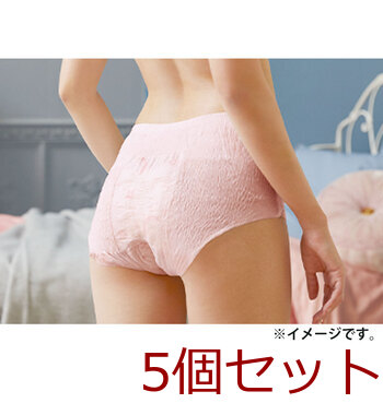 ソフィ 超熟睡ショーツ ショーツ型ナプキン 特に多い夜用 S Mサイズ ピンク 5個入 5セット 送料無料-5