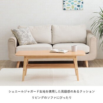 クッション 日本製 洗える セアテ ボタニカル 約43×43cm ブラン セアテ 送料無料-1