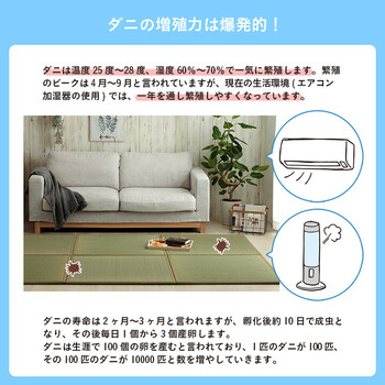 置き畳 1枚 い草 日本製 消臭 抗菌防臭 ダニ増殖抑制 無地 約82×82×1.8cm 滅ダニ U畳 送料無料-3