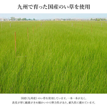 玄関マット 約35×120cm 和モダン おしゃれ クッション性 花柄 高級感アップ 天然素材 なでしこ 上がり框 送料無料-5