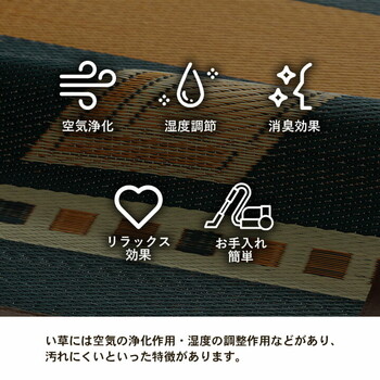 ラグ キリムシリーズラグ 約140×200cm い草ラグ カーペット 夏用 節電 DXシンキリム DXキリ— DXストーリー 送料無料-3