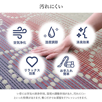 ラグ い草ラグ 約191×191cm 和モダン柄 インテリア 節電 夏用 涼しい おしゃれ 湿度調節 消臭効果 NS麻モダン 送料無料-3