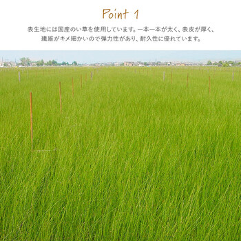 撥水 国産 い草 約88×88cm 日本製 置き畳 ユニット畳 簡単 和室 ナチュラル 単品 ライズ 送料無料-2