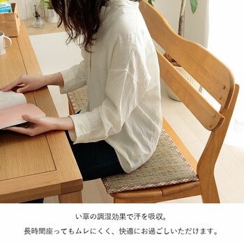 クッション ベンチパッド い草 チェック柄 調湿 空気清浄 お手入れ簡単 リープ ベンチパッド 送料無料-4