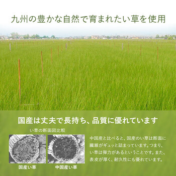 置き畳 約82×82cm 同色9枚組 自然素材 国産 い草 簡単 和室 あぐら 送料無料-2