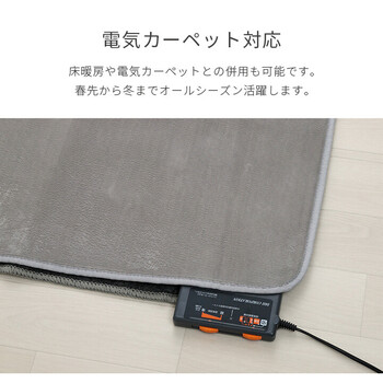 ラグ カーペット 約200×300cm 洗える 抗菌防臭 滑り止め付き 薄手 無地 ホットカーペット対応 ピオニー2 送料無料-10