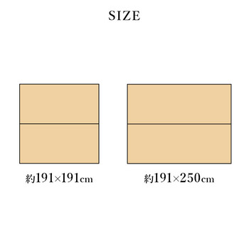 ラグ い草ラグ 約191×250cm 和モダン柄 インテリア 節電 夏用 涼しい おしゃれ 湿度調節 消臭効果 NS麻モダン 送料無料-5