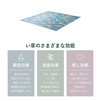ラグ い草 畳 自然素材 カーペット ラグ 約180×240cm インテリア 夏用 節電 涼しい CX セナ 送料無料-2