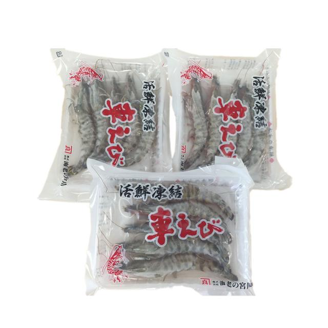 熊本 沖縄 活鮮凍結 活き〆冷凍車海老 A 送料無料-1