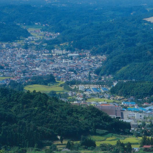 福島 川俣シャモ詰め合せ サイコロステーキ300g ソーセージ160g ギフト対応可 送料無料-2