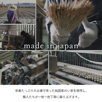 ラグ 国産 い草ラグ い草花ござ カーペット 約191×250cm ブロック調 おしゃれ シンプル クッション性 Fブロック 送料無料-3