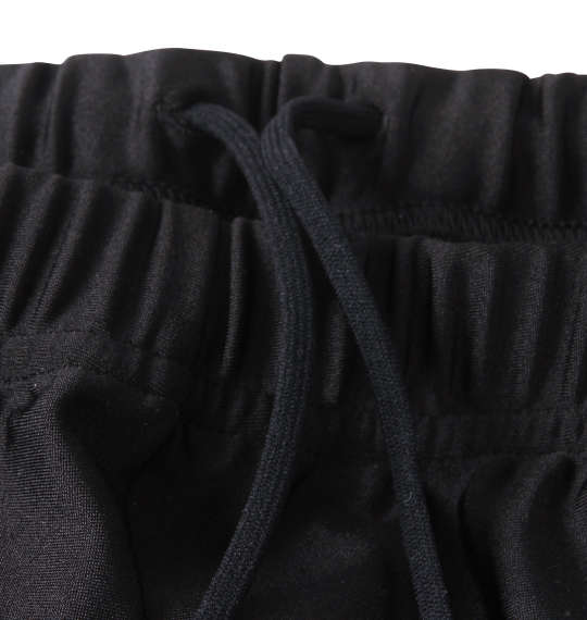 大きいサイズ arena スイムパンツ 3L 4L 5L 6L MC433202-93602 ラッピング可 送料無料 即日発送-2