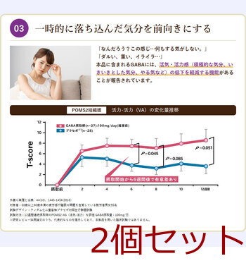 ローヤルゼリー+GABA 60粒入 2セット 送料無料-4