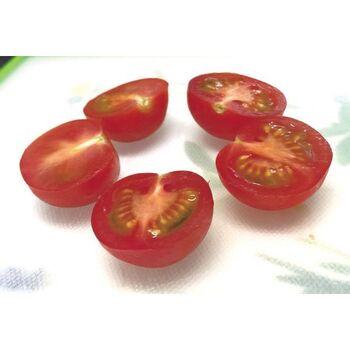 ガジェコンプチトマト一発スライサー 3個セット 送料無料 即日発送-1