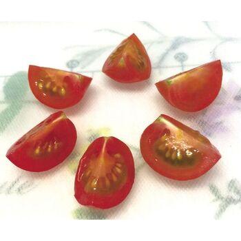 ガジェコンプチトマト一発スライサー 3個セット 送料無料 即日発送-2