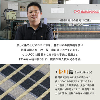 ラグ 国産い草ラグ 江戸間6畳 カーペット 特殊掛川織 築彩 ブルー 送料無料-3