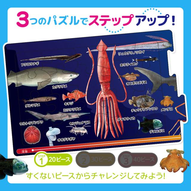 つなげるパズル図鑑 海のいきもの 3個セット 送料無料-2