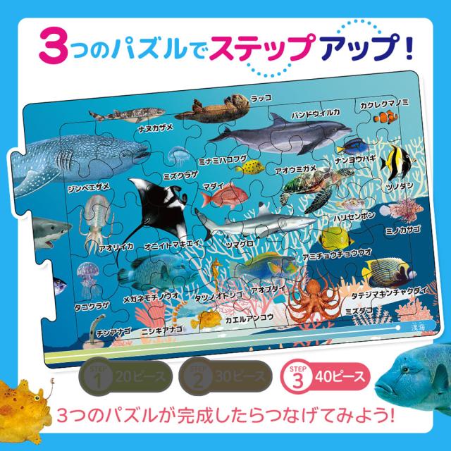 つなげるパズル図鑑 海のいきもの 3個セット 送料無料-4