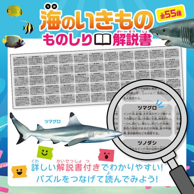 つなげるパズル図鑑 海のいきもの 3個セット 送料無料-5