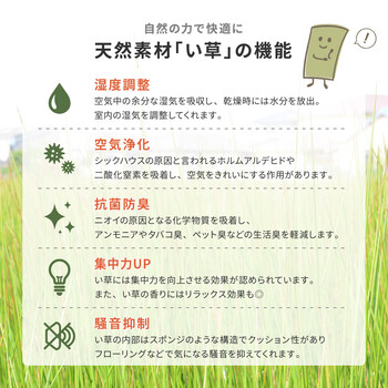 国産い草×倉敷帆布 平枕 ブルー 約32×22×10cm 送料無料-4