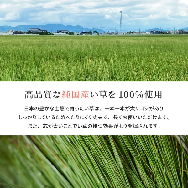 カーペット 国産い草カーペット 本間3畳 柄上敷き 花ござ 紋織 清涼 ブルー 江戸間 本間 1~8帖 送料無料-1