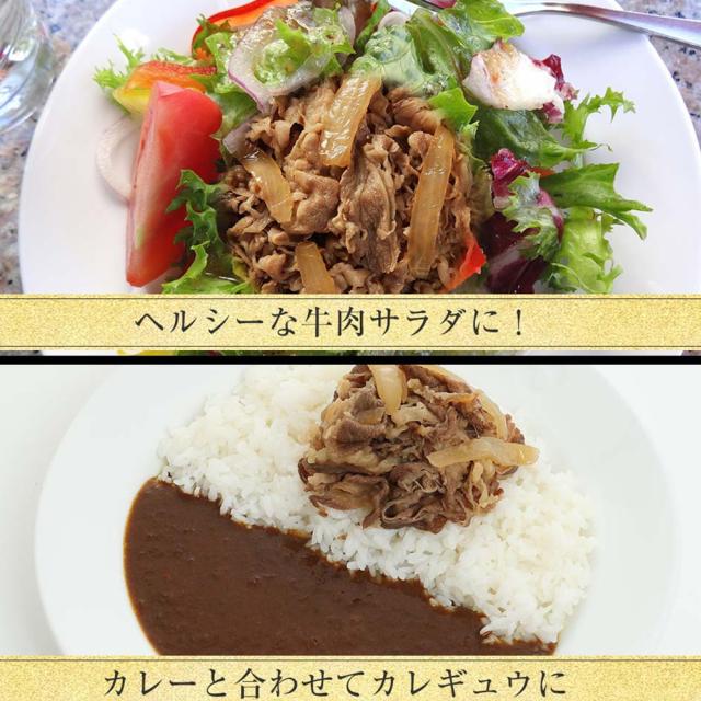 松屋 牛めしの具 豪州産 20個セット 送料無料 即日発送-7