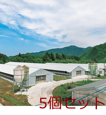 秋川牧園 参鶏湯風スープ １Ｐ 5個セット 送料無料-3