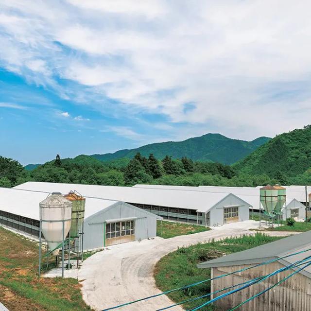 秋川牧園 こどもハヤシ １Ｐ 5個セット 送料無料-2